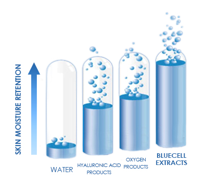 skin moisture retention effect of bluecell extracts